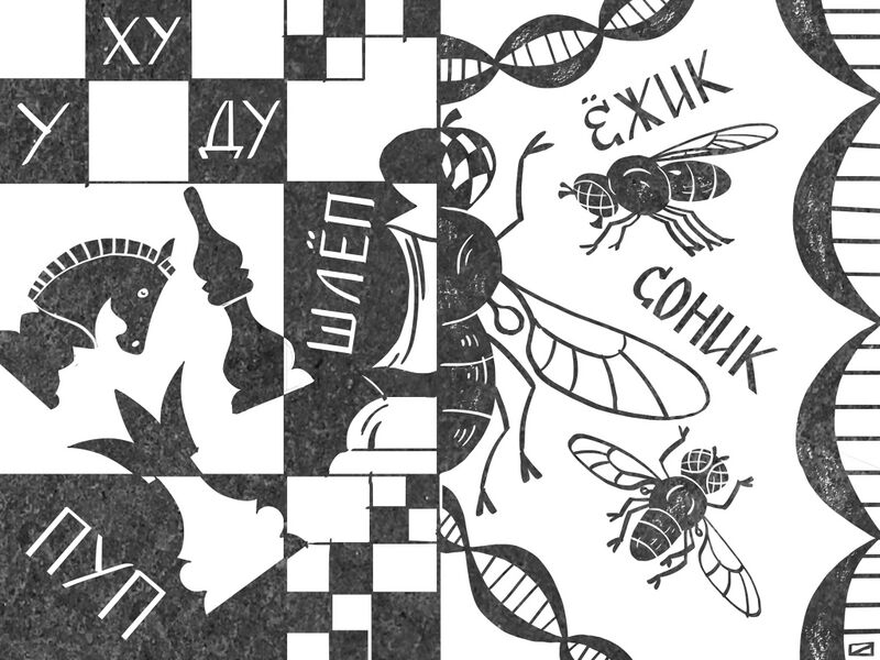 Файл:Image122.jpeg