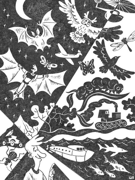Файл:Image136.jpeg