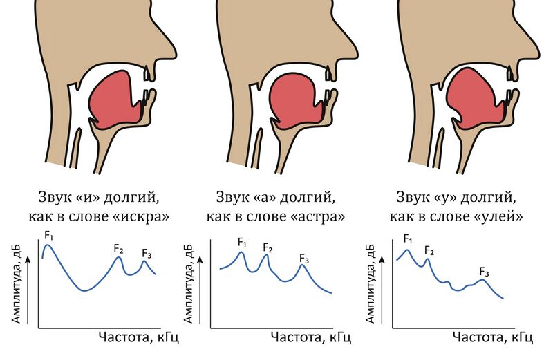 Файл:Image225.jpeg